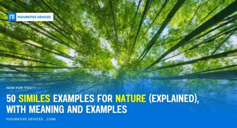 Nature landscapes with diverse flora and fauna
