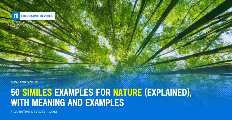 Nature landscapes with diverse flora and fauna