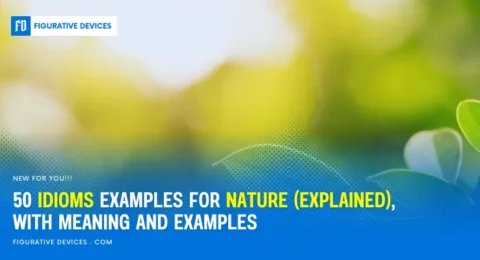50 phrases for nature