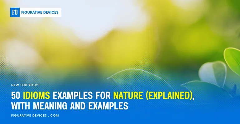 50 phrases for nature