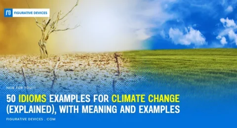 Climate change idioms and phrases