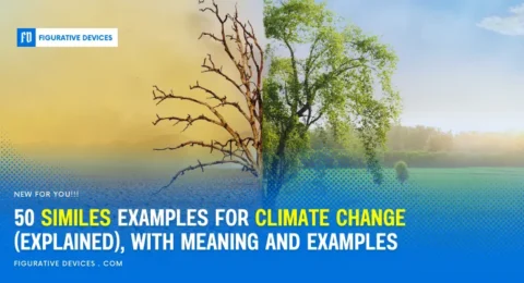 Climate Change, Weather Extremes, Global Warming