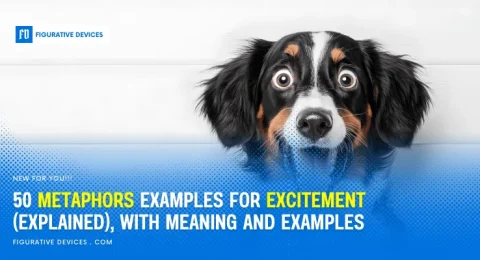 Metaphors for excitement, enthusiasm, energy