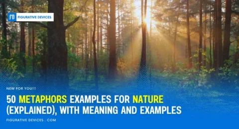 nature metaphors