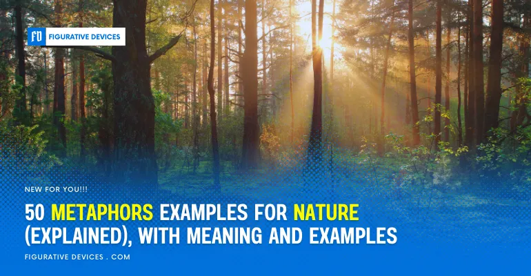 nature metaphors