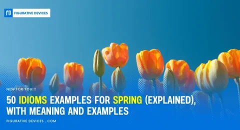 spring phrases