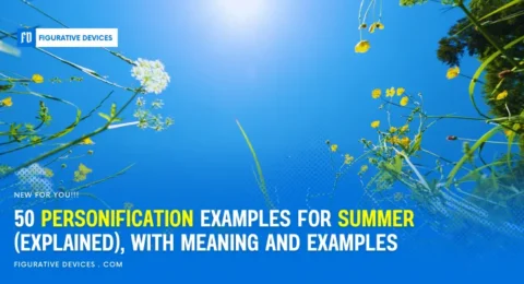 Summer warmth, sunshine, and heat