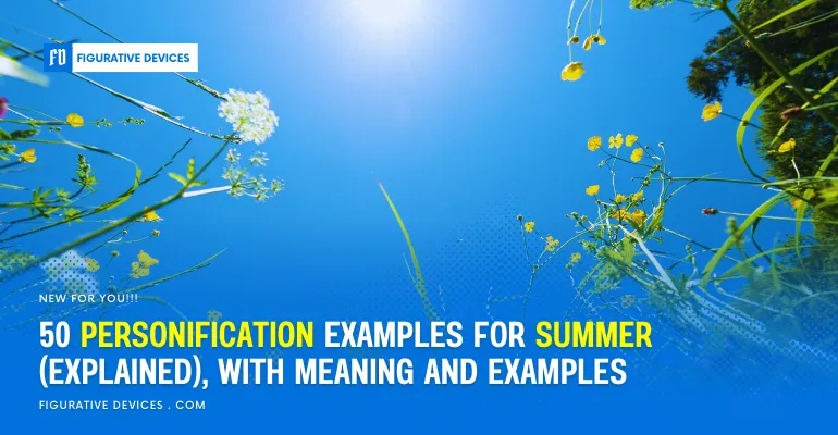 Summer warmth, sunshine, and heat