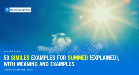 Summer landscapes with warm light