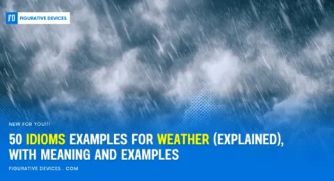 Weather idioms and climate phrases