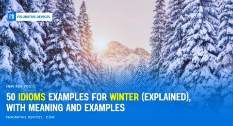 winter idioms