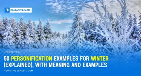 Winter landscapes, snow-covered trees, frosty mornings