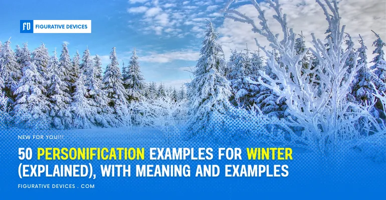 Winter landscapes, snow-covered trees, frosty mornings