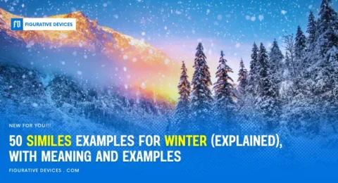 Winter landscapes with snow and trees
