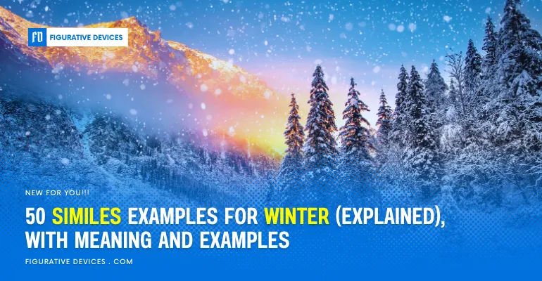 Winter landscapes with snow and trees