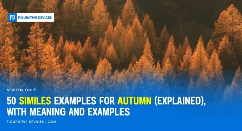 Autumn Similes