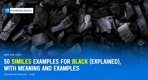 analogies about black